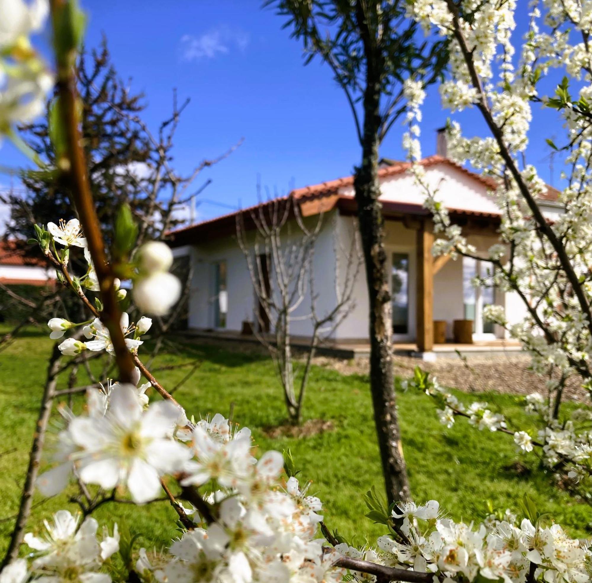 Ar Da Beira - Serra Da Estrela Belmonte  Ngoại thất bức ảnh