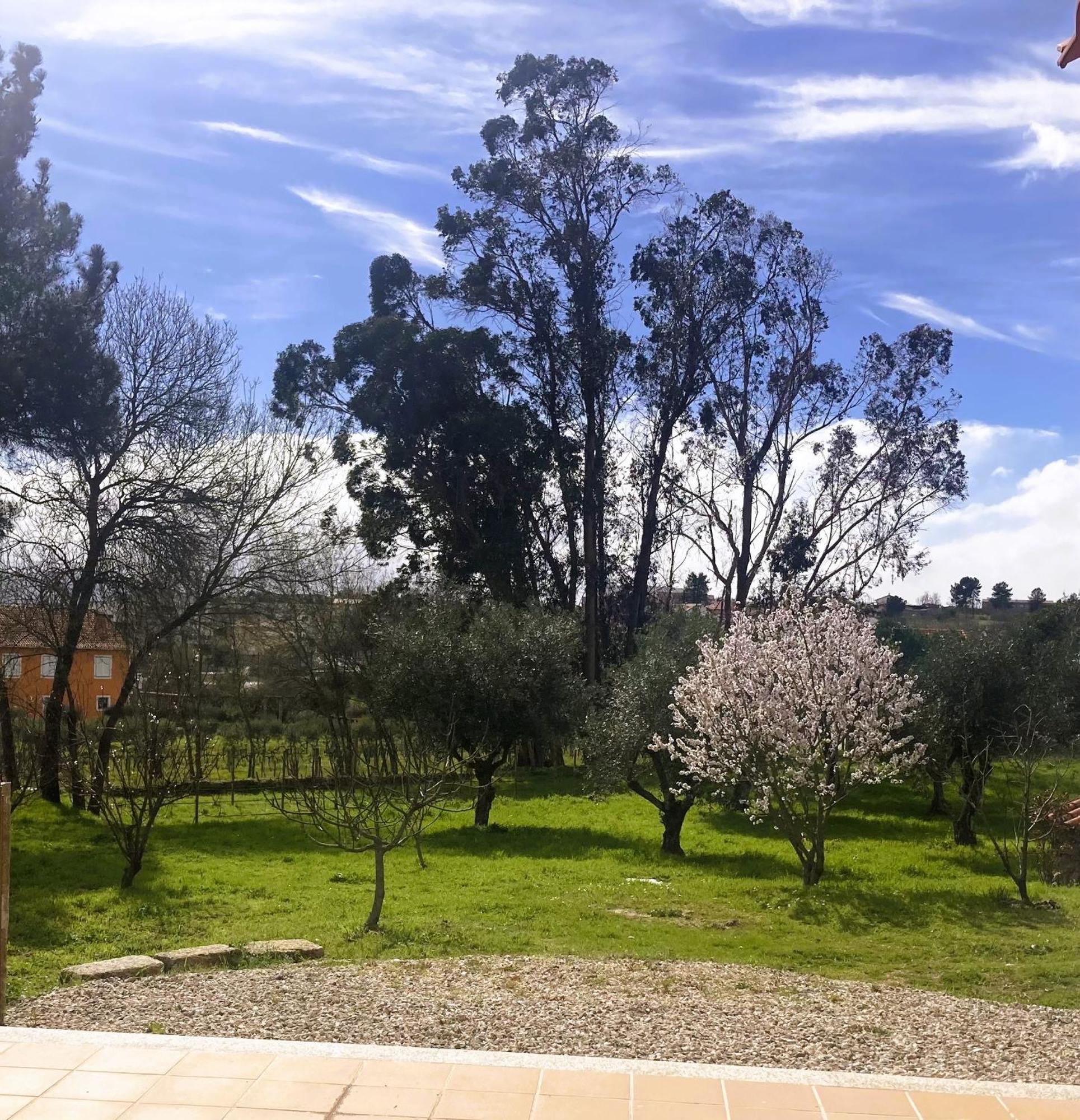 Ar Da Beira - Serra Da Estrela Belmonte  Ngoại thất bức ảnh